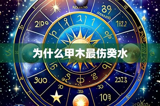 为什么甲木最伤癸水