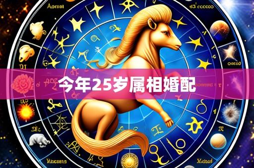 今年25岁属相婚配