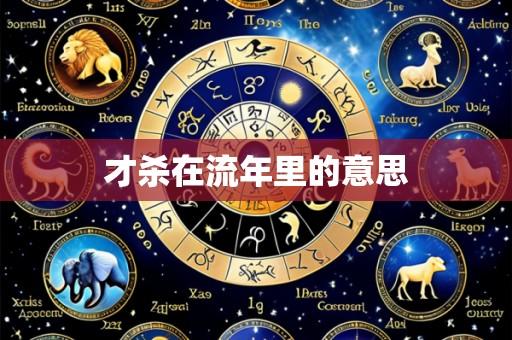 才杀在流年里的意思