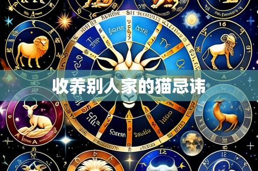 收养别人家的猫忌讳