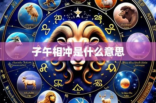 子午相冲是什么意思