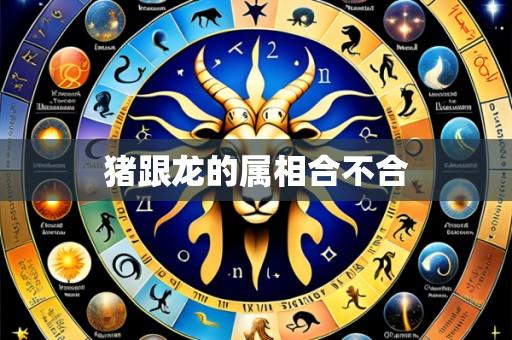 猪跟龙的属相合不合