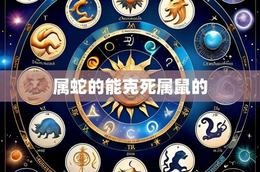 属蛇的能克死属鼠的