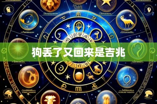 狗丢了又回来是吉兆