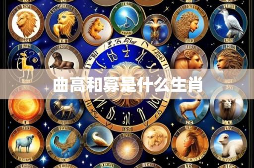 曲高和寡是什么生肖