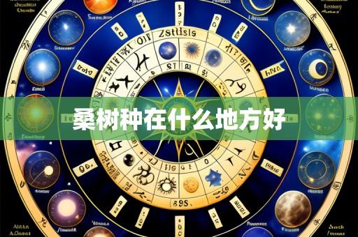 桑树种在什么地方好
