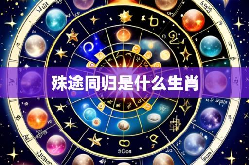 殊途同归是什么生肖