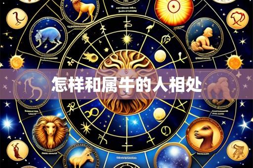 怎样和属牛的人相处