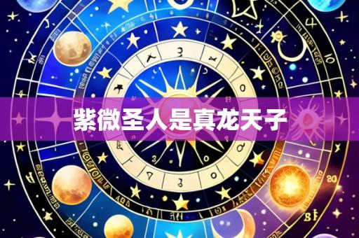 紫微圣人是真龙天子