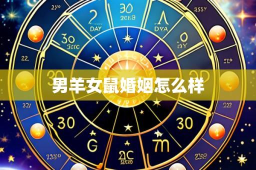 男羊女鼠婚姻怎么样