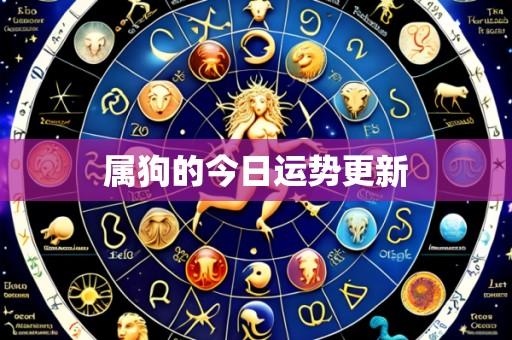 属狗的今日运势更新