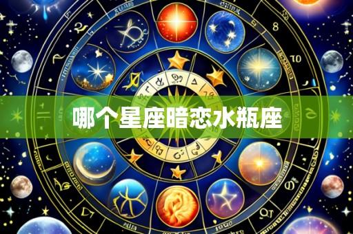 哪个星座暗恋水瓶座