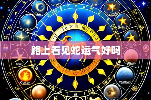 路上看见蛇运气好吗