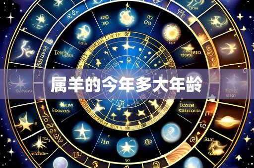属羊的今年多大年龄