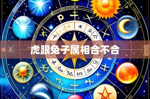 虎跟兔子属相合不合