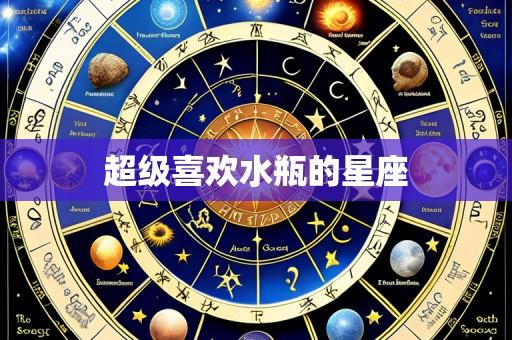 超级喜欢水瓶的星座