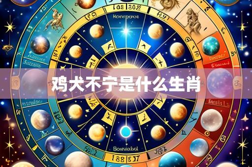 鸡犬不宁是什么生肖
