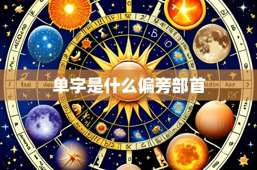 单字是什么偏旁部首