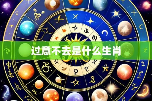 过意不去是什么生肖