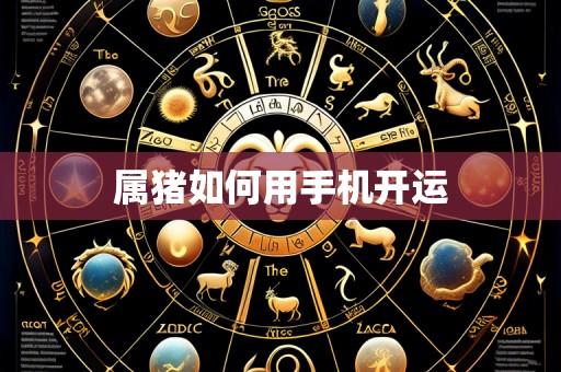 属猪如何用手机开运