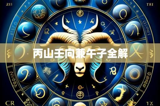 丙山壬向兼午子全解