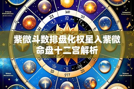 紫微斗数排盘化权星入紫微命盘十二宫解析