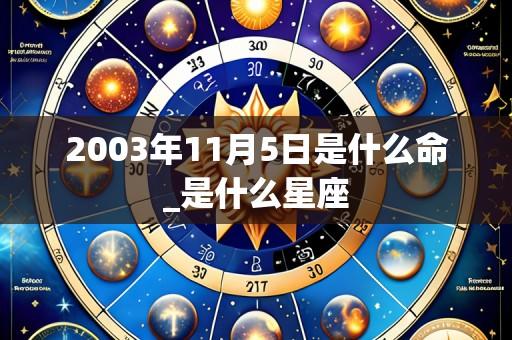 2003年11月5日是什么命_是什么星座