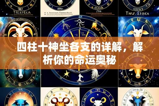 四柱十神坐各支的详解,解析你的命运奥秘