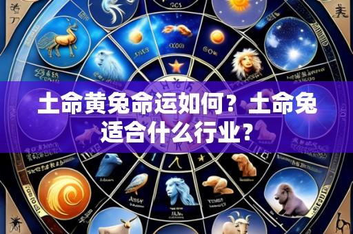 土命黄兔命运如何？土命兔适合什么行业？