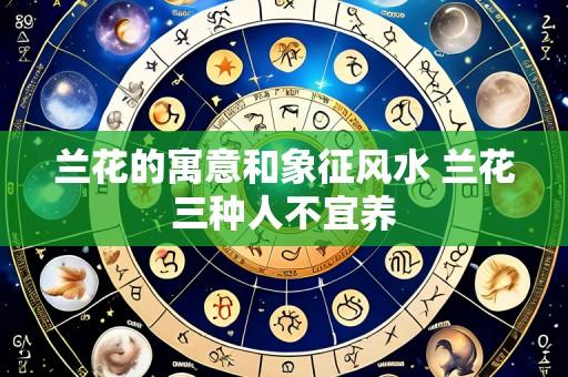 兰花的寓意和象征风水 兰花三种人不宜养