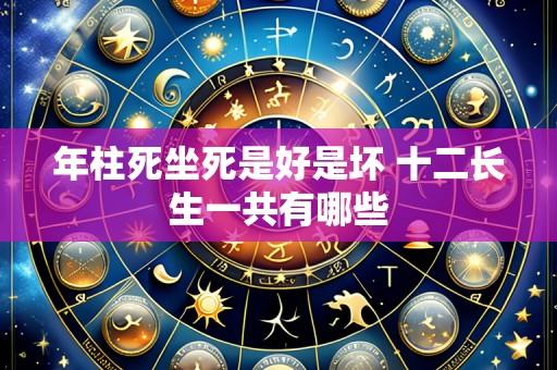 年柱死坐死是好是坏 十二长生一共有哪些