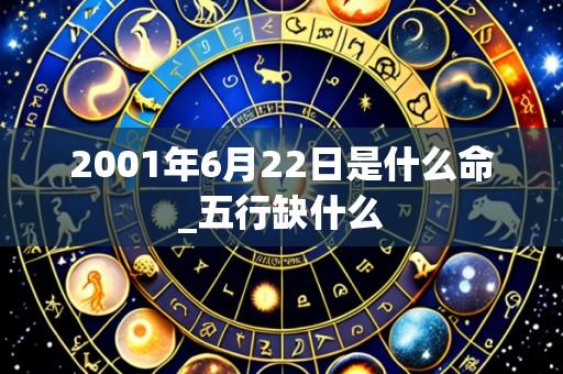 2001年6月22日是什么命_五行缺什么