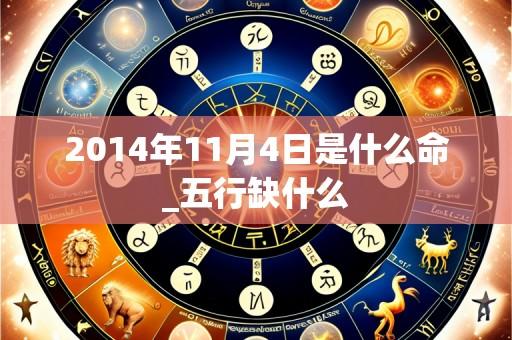 2014年11月4日是什么命_五行缺什么