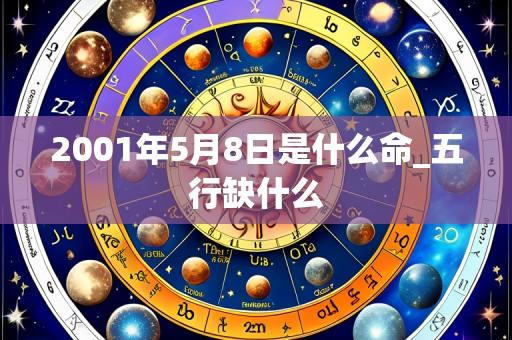 2001年5月8日是什么命_五行缺什么