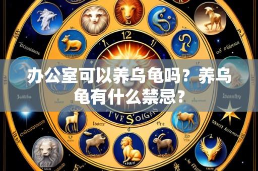 办公室可以养乌龟吗?养乌龟有什么禁忌?