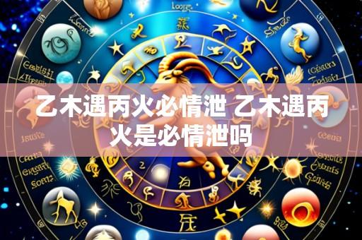 乙木遇丙火必情泄 乙木遇丙火是必情泄吗