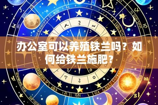 办公室可以养殖铁兰吗？如何给铁兰施肥？