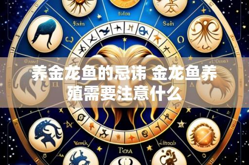 养金龙鱼的忌讳 金龙鱼养殖需要注意什么