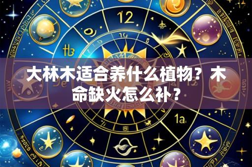 大林木适合养什么植物?木命缺火怎么补?