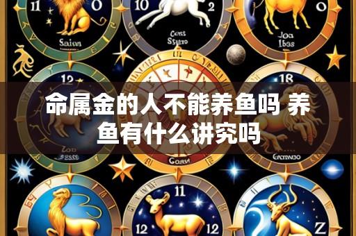 命属金的人不能养鱼吗 养鱼有什么讲究吗