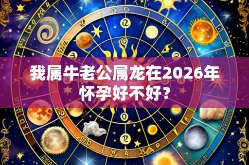 我属牛老公属龙在2026年怀孕好不好？