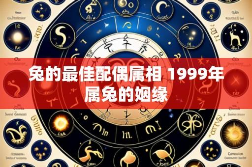 兔的最佳配偶属相 1999年属兔的姻缘