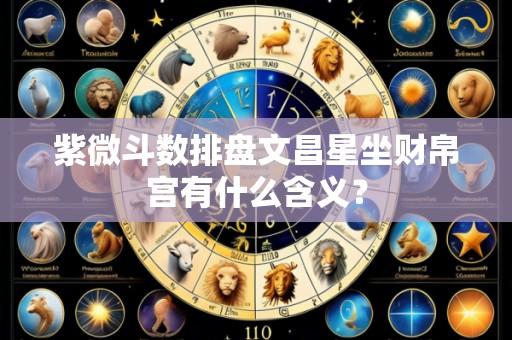 紫微斗数排盘文昌星坐财帛宫有什么含义？