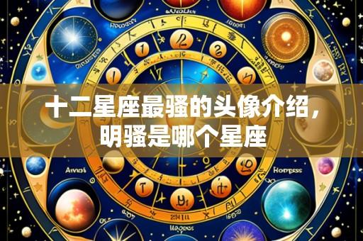 十二星座最骚的头像介绍,明骚是哪个星座