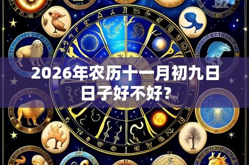 2026年农历十一月初九日日子好不好?