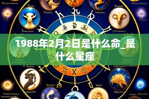 1988年2月2日是什么命_是什么星座