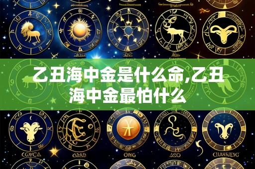 乙丑海中金是什么命,乙丑海中金最怕什么