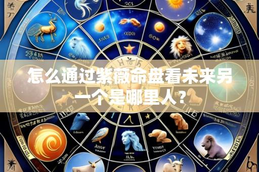 怎么通过紫薇命盘看未来另一个是哪里人？