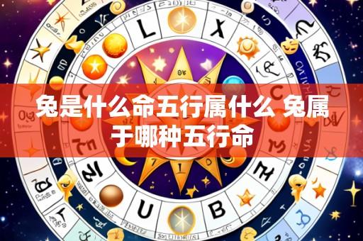 兔是什么命五行属什么 兔属于哪种五行命