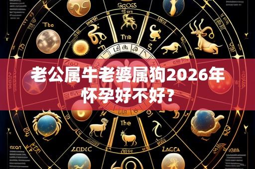 老公属牛老婆属狗2026年怀孕好不好？